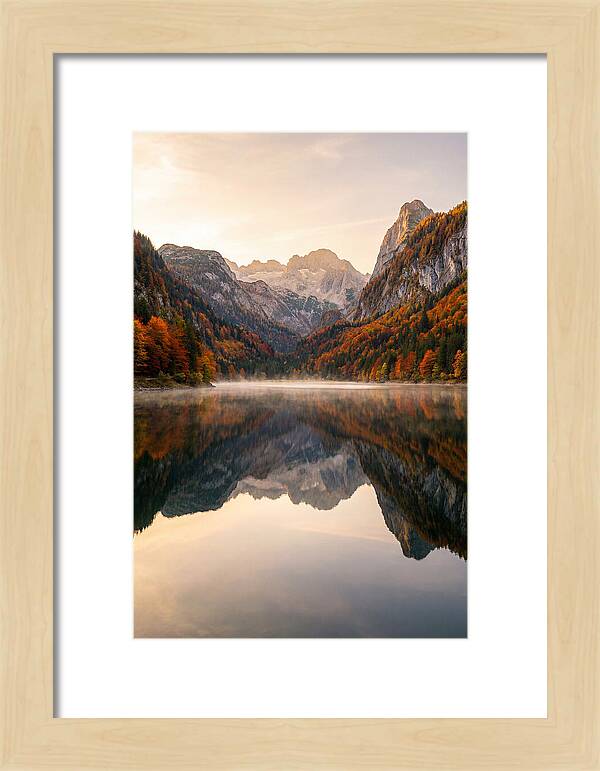 Tranquil Reflections Of Nature
