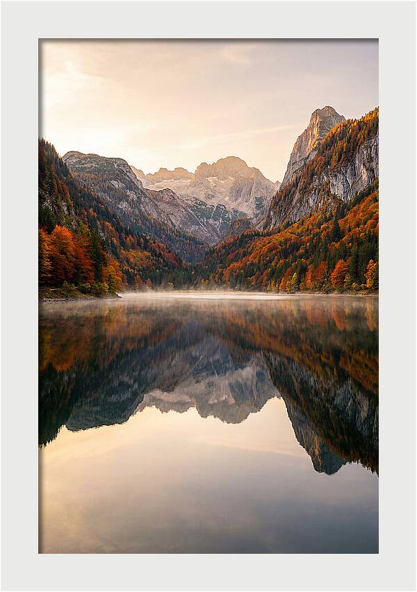 Tranquil Reflections Of Nature