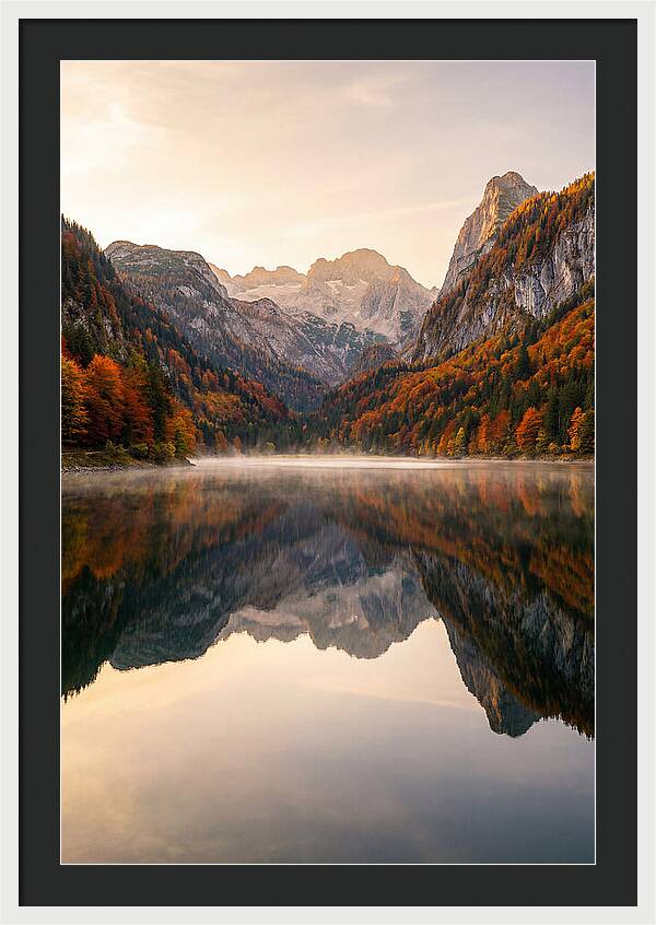 Tranquil Reflections Of Nature