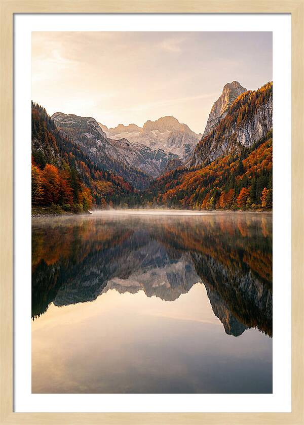 Tranquil Reflections Of Nature