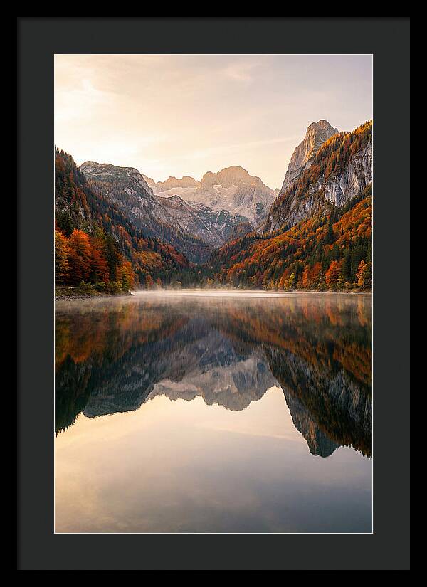 Tranquil Reflections Of Nature