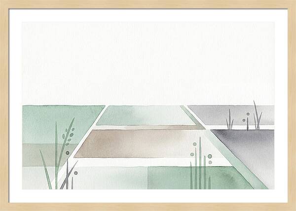 Tranquil Rice Paddy Reflections