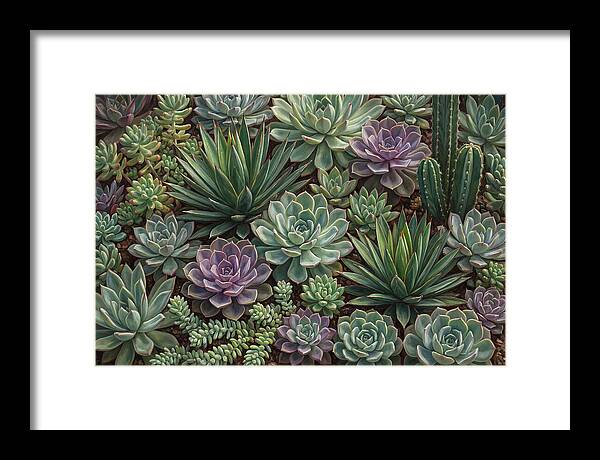Tranquil Succulent Oasis 8587