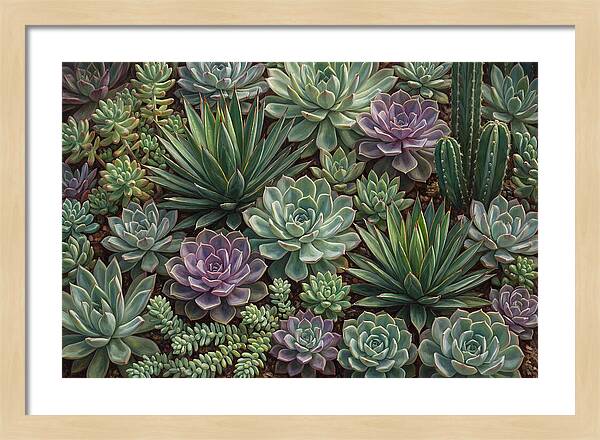 Tranquil Succulent Oasis 8587
