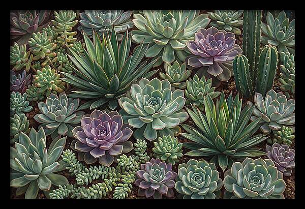 Tranquil Succulent Oasis 8587
