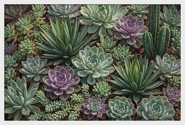 Tranquil Succulent Oasis 8587