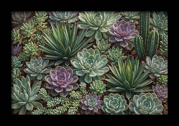 Tranquil Succulent Oasis 8587