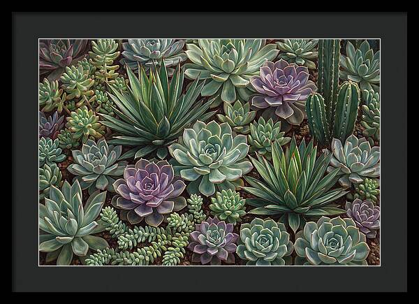 Tranquil Succulent Oasis 8587