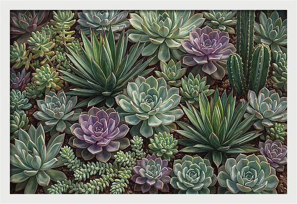 Tranquil Succulent Oasis 8587