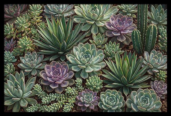 Tranquil Succulent Oasis 8587
