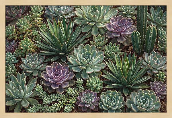 Tranquil Succulent Oasis 8587
