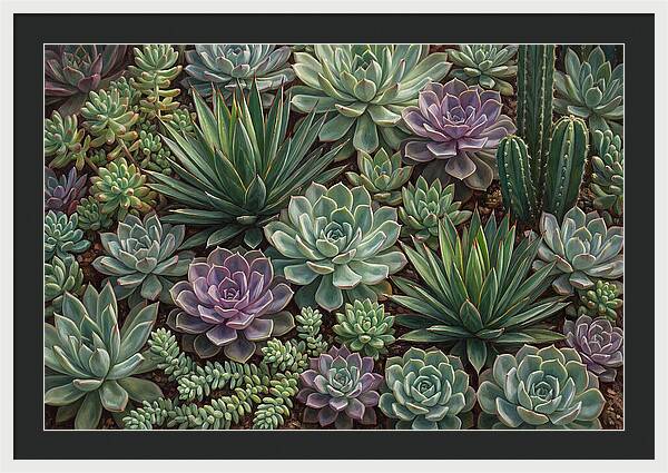 Tranquil Succulent Oasis 8587