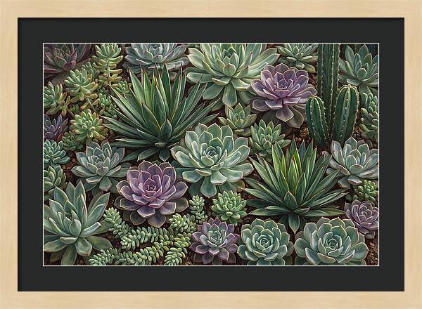 Tranquil Succulent Oasis 8587