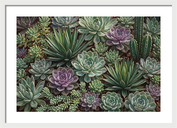 Tranquil Succulent Oasis 8587
