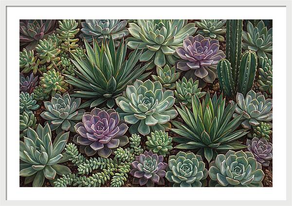 Tranquil Succulent Oasis 8587
