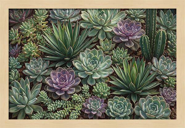 Tranquil Succulent Oasis 8587