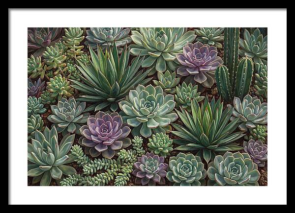 Tranquil Succulent Oasis 8587