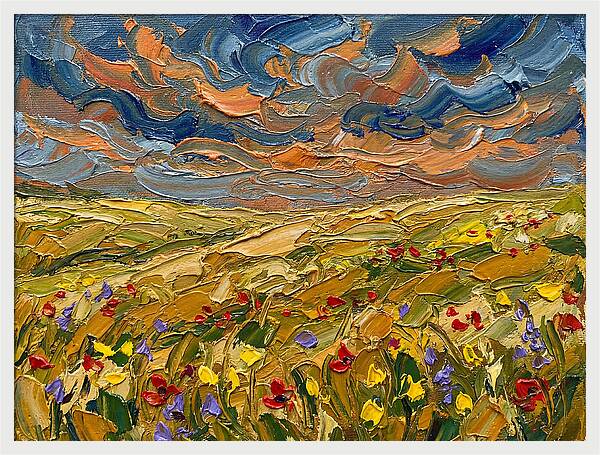 Tranquil Summer Meadow