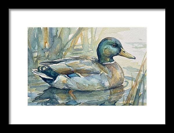 Tranquil Teal Duck Reflections