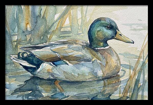 Tranquil Teal Duck Reflections
