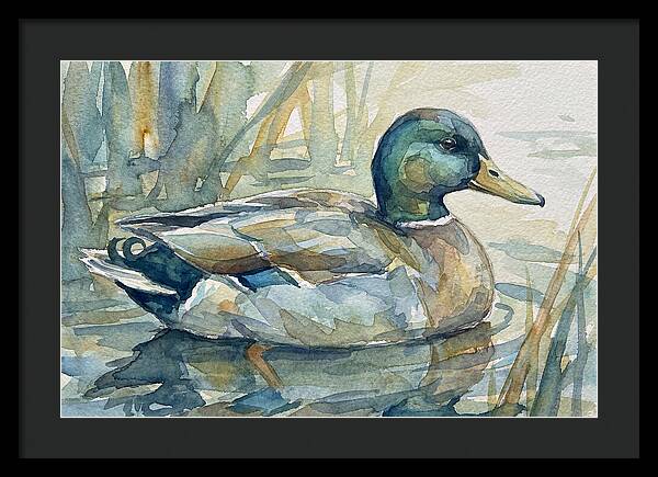 Tranquil Teal Duck Reflections