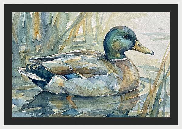 Tranquil Teal Duck Reflections