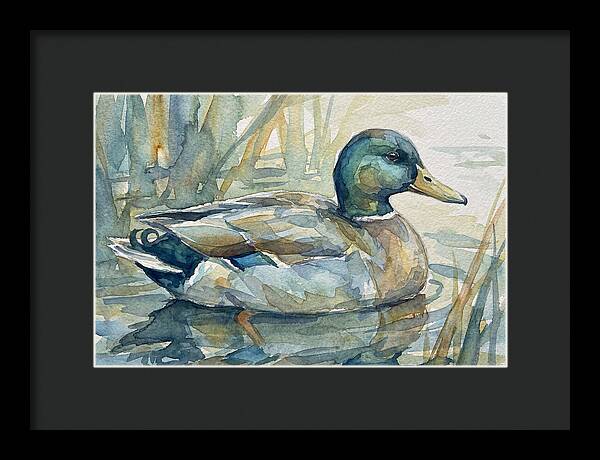Tranquil Teal Duck Reflections