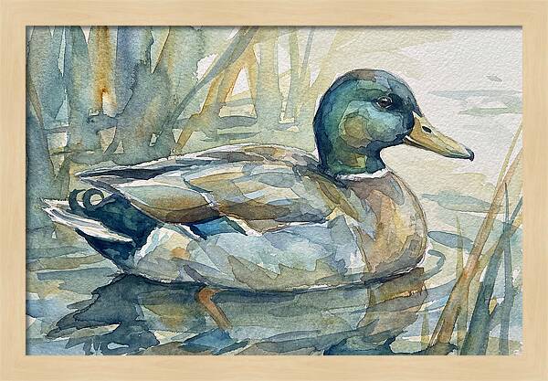 Tranquil Teal Duck Reflections
