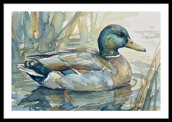 Tranquil Teal Duck Reflections