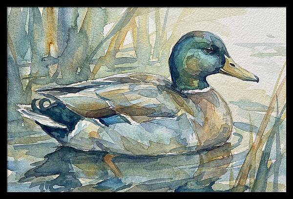 Tranquil Teal Duck Reflections