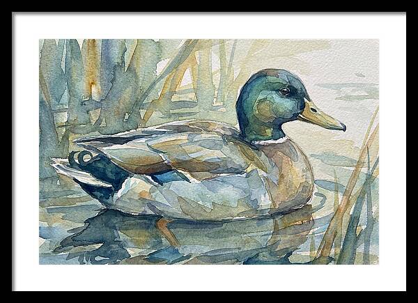 Tranquil Teal Duck Reflections