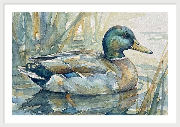 Tranquil Teal Duck Reflections
