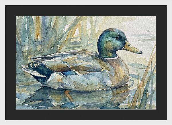 Tranquil Teal Duck Reflections