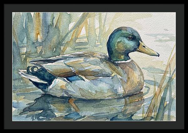 Tranquil Teal Duck Reflections