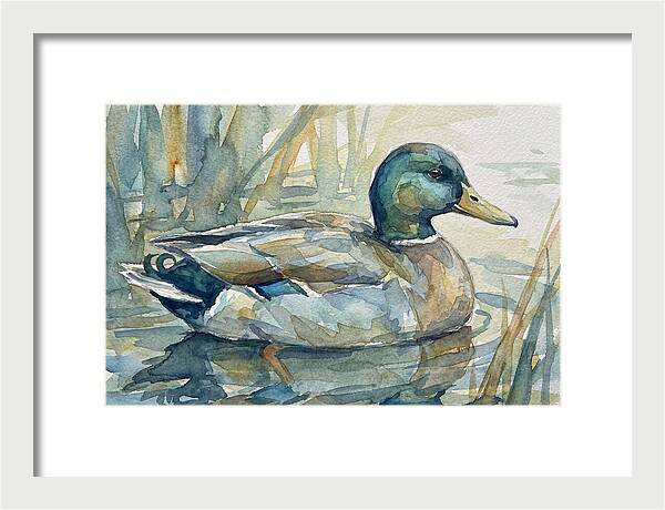 Tranquil Teal Duck Reflections