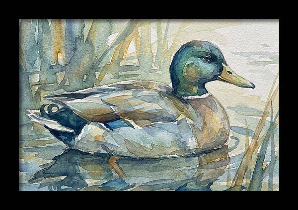 Tranquil Teal Duck Reflections