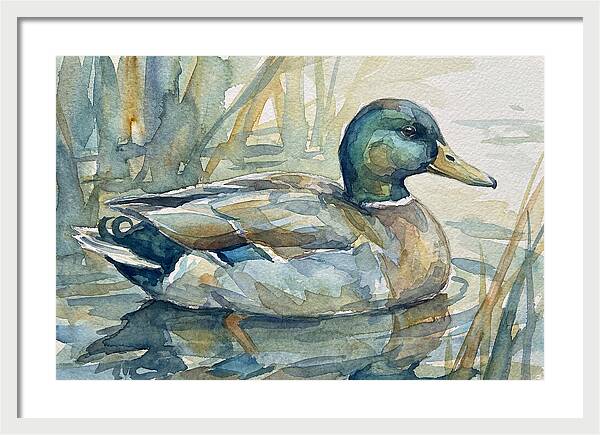 Tranquil Teal Duck Reflections