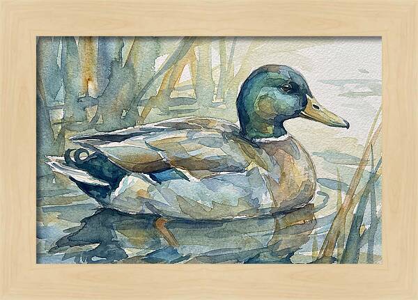 Tranquil Teal Duck Reflections