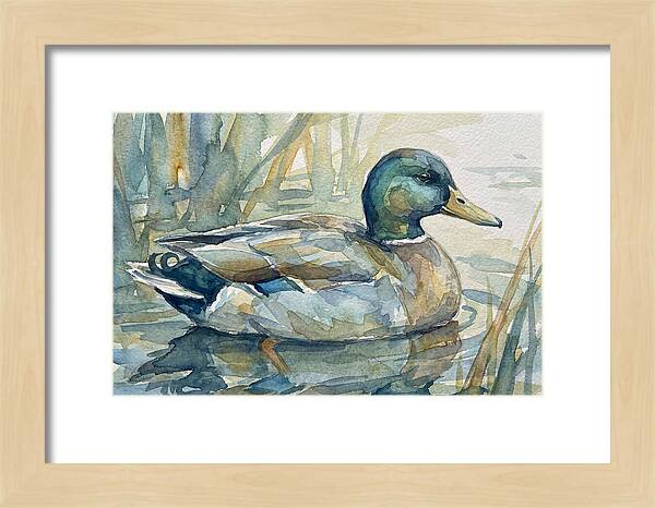 Tranquil Teal Duck Reflections