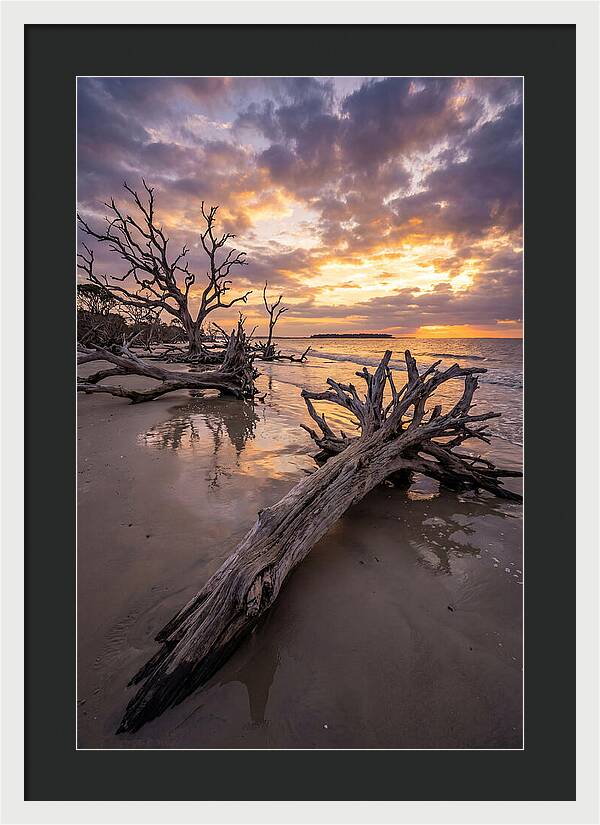 Tranquil Tides At Driftwood Beach
