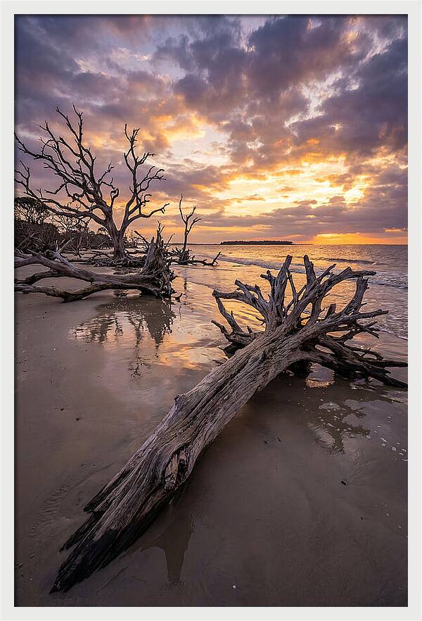Tranquil Tides At Driftwood Beach