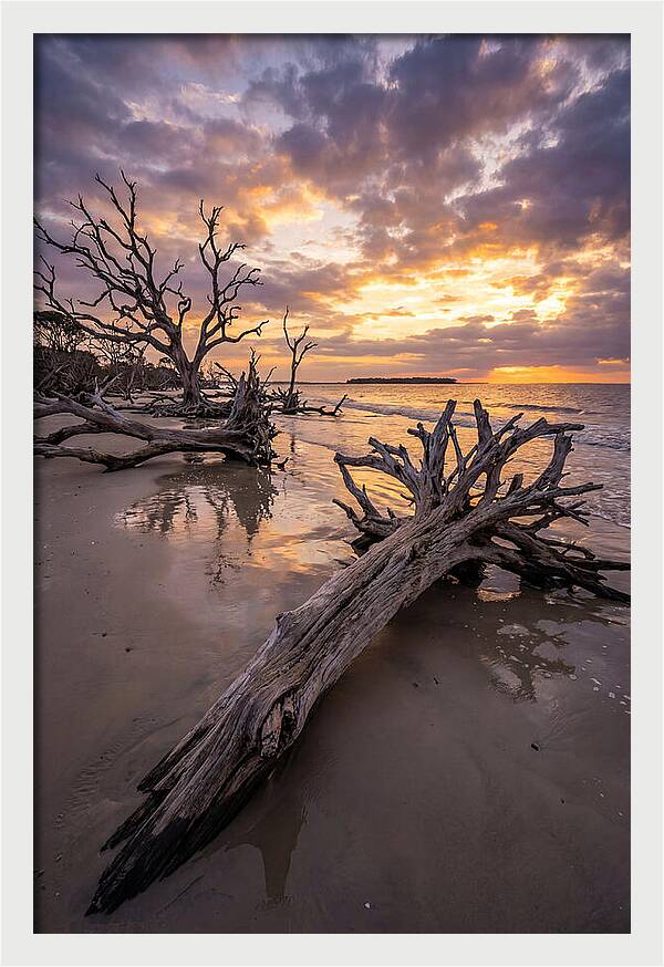 Tranquil Tides At Driftwood Beach