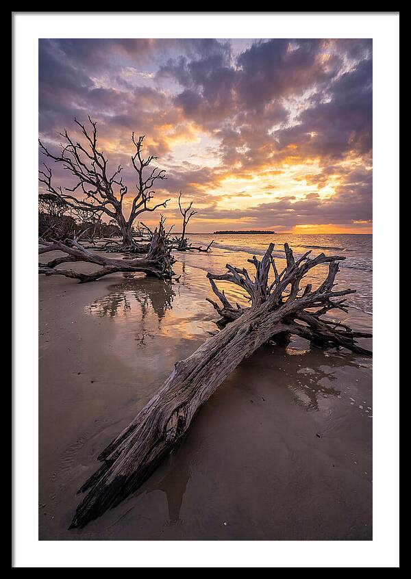 Tranquil Tides At Driftwood Beach