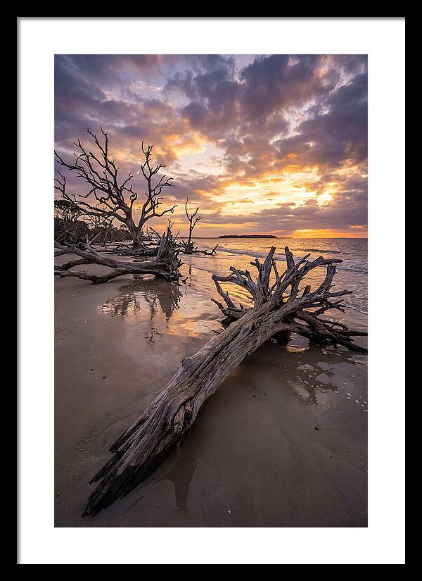 Tranquil Tides At Driftwood Beach