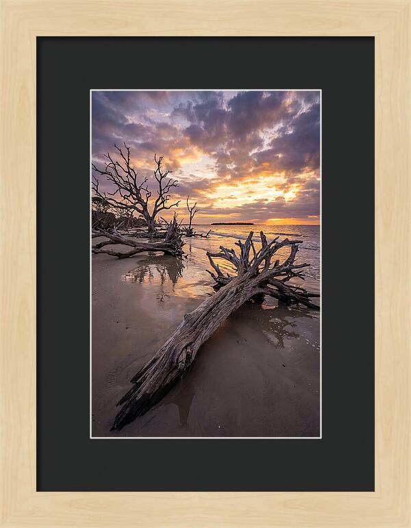 Tranquil Tides At Driftwood Beach