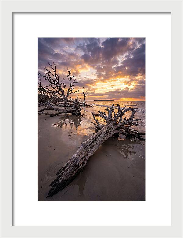 Tranquil Tides At Driftwood Beach