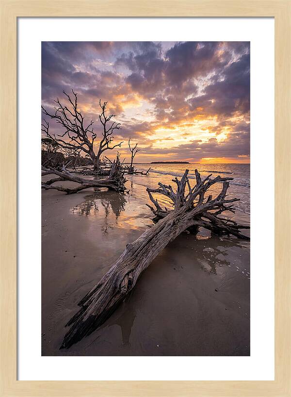 Tranquil Tides At Driftwood Beach