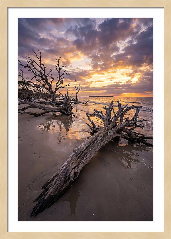 Tranquil Tides At Driftwood Beach