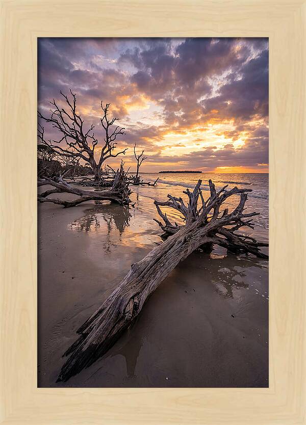 Tranquil Tides At Driftwood Beach