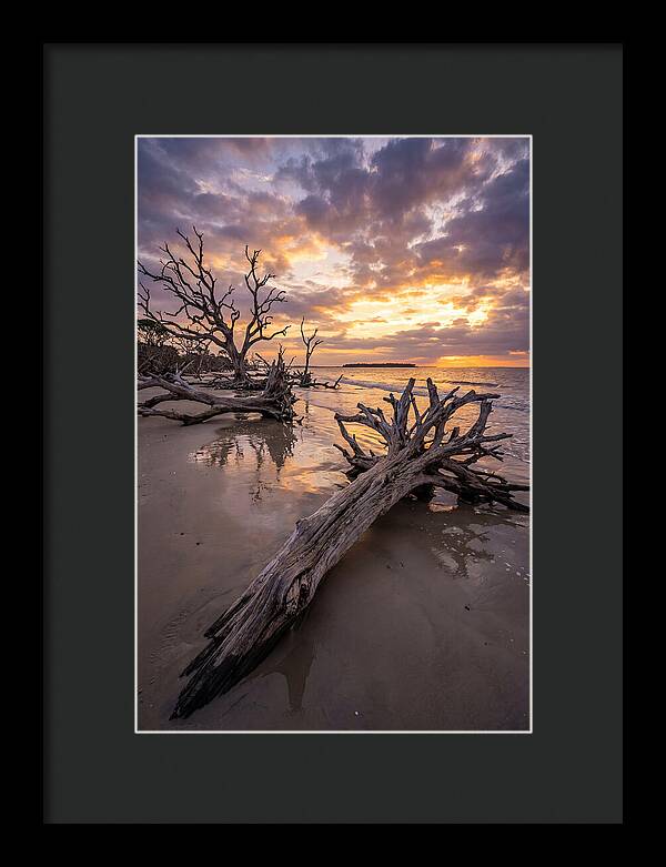 Tranquil Tides At Driftwood Beach